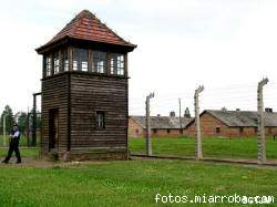 Birkenau