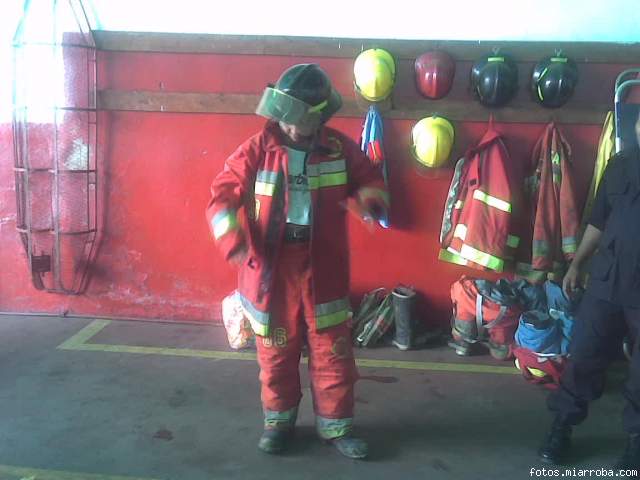 bomberina