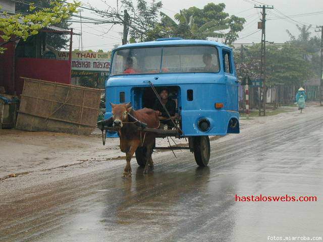 coche caballo