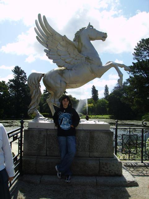 pegaso