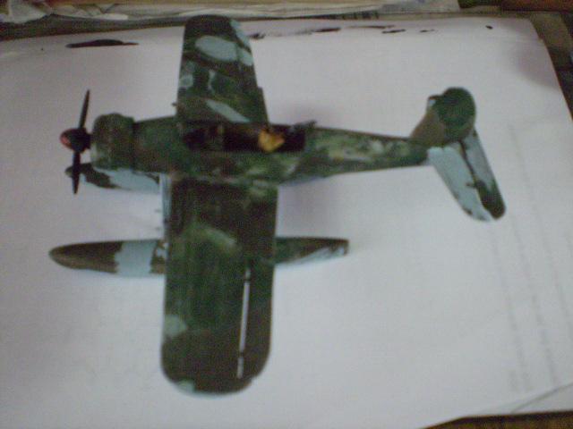 arado pintura