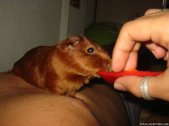 Gaara comiendo pimiento encima del nene