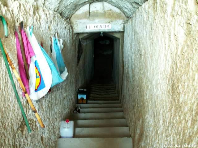 Bodega por dentro -escalera