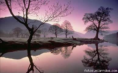 lago lago