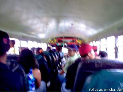 en un bus viejo de forestal