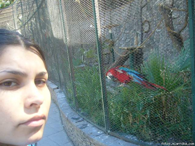 zoologico