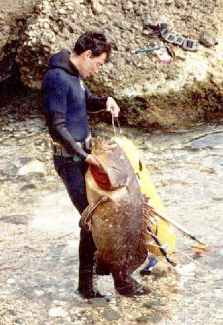 carlos con un mero pescado en altea