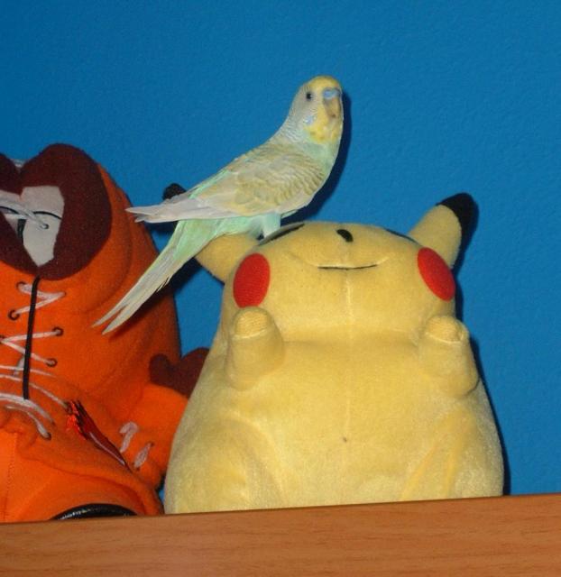 Pierre y Pikatxu! :)