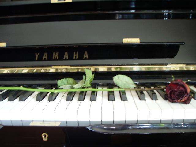 rosa piano