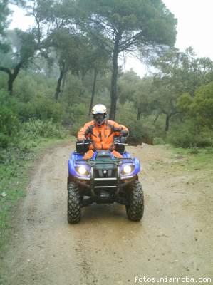 NUESTRO GRAN AMIGO SAPPER EN SU PRIMERA SALIDA CAMPESTRE NUESTRO GRAN AMIGO SAPPER EN SU PRIMERA SALIDA CAMPESTRE