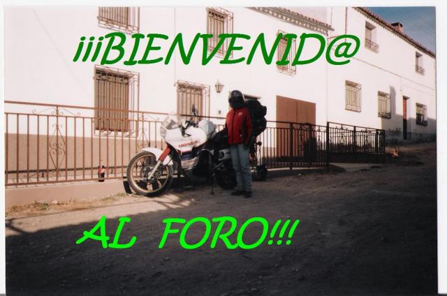 Bienvenido al Foro