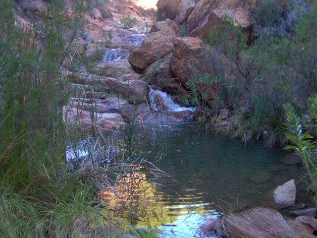 Charco de los galapagos