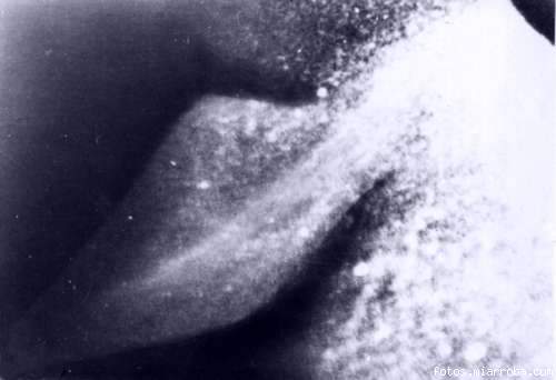 Fomosa foto de la aleta de nessie, tomada el 8 de agosto de 1972, por el Dr Robert Rines
