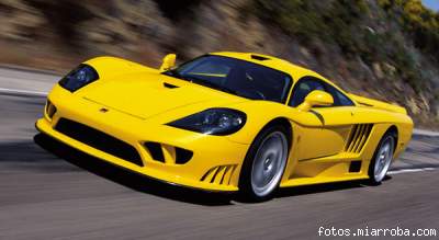 saleen2