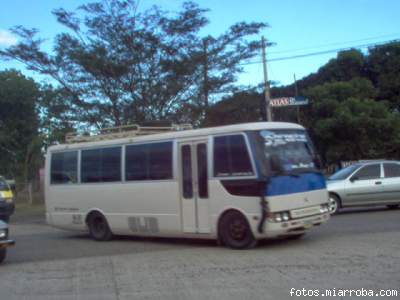 forestal mercado