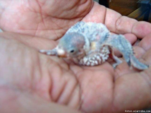 Unos de los peques Unos de los peques