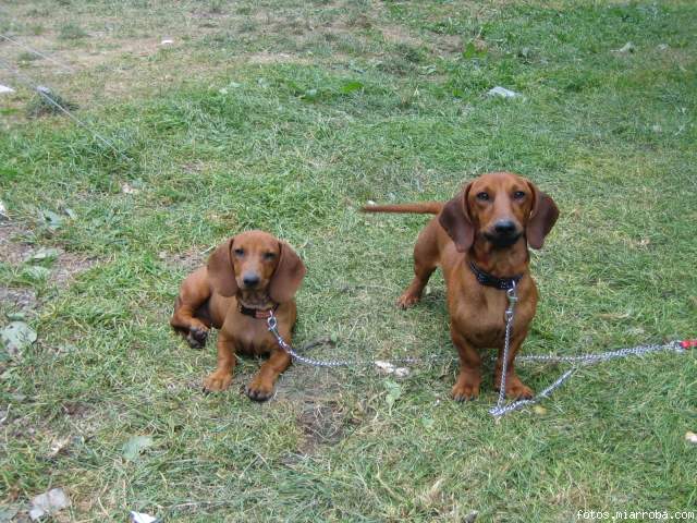 Oscar y nana miran a camara