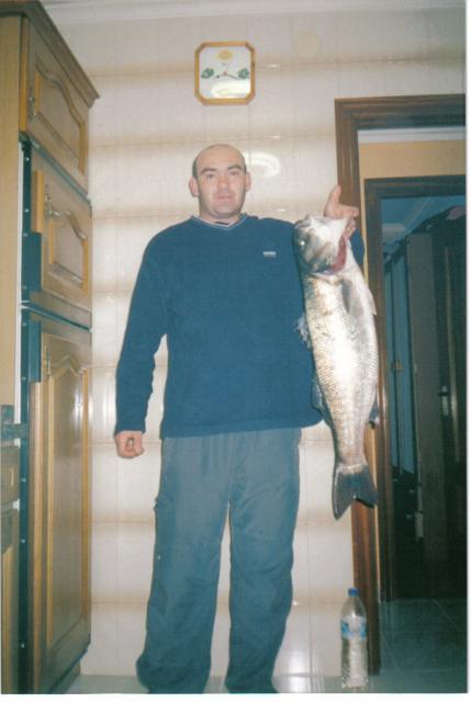 buena lubina a sardina buena lubina a sardina