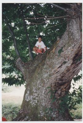 Dani en un castao de Burbia, Foto M. Estrada