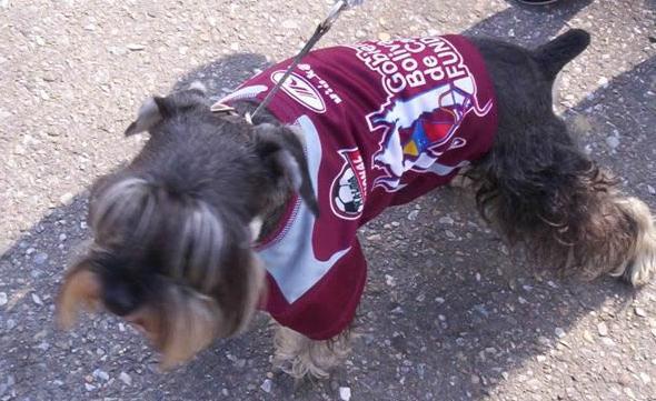 carabobo fc