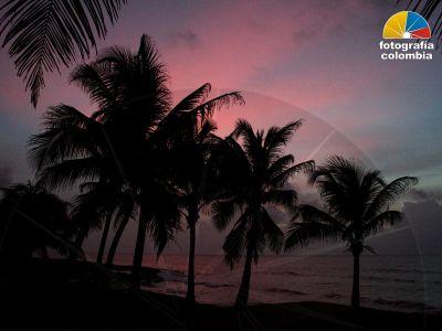 SAN ANDRES SAN ANDRES