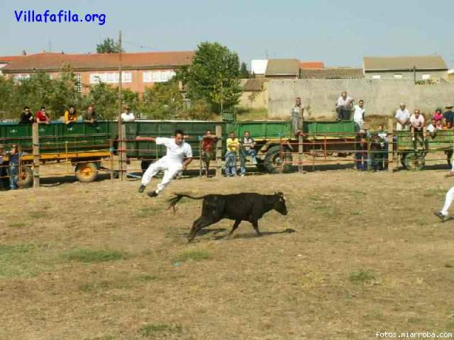 Salto sin pertiga