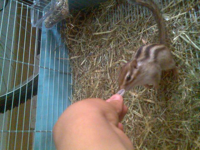 Tiffa Come de mi mano Tiffa Come de mi mano