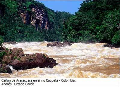 RIO CAQUETA RIO CAQUETA