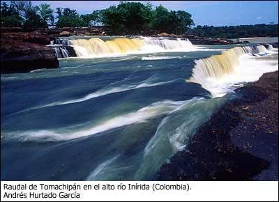 RIO INDIRA RIO INDIRA