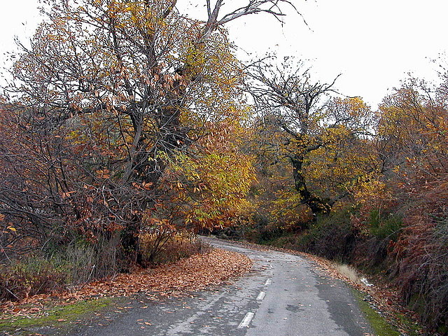DSCN9506 DSCN9506