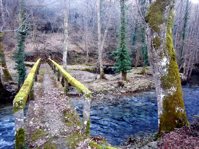 DSCN2563 DSCN2563