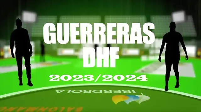 DHF 23-24