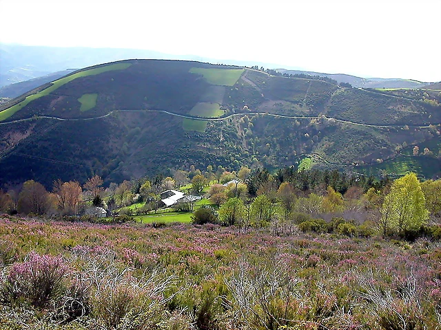 DSCN9029 DSCN9029