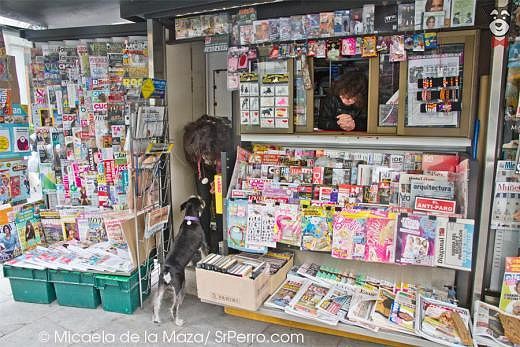 Kiosco