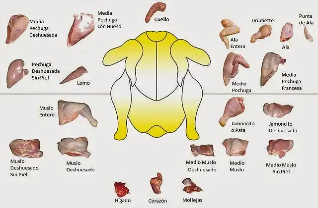 partes_del_pollo