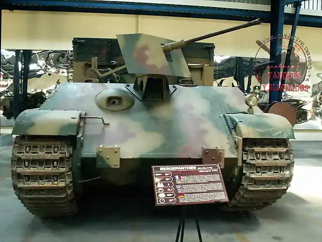 bergepanther3