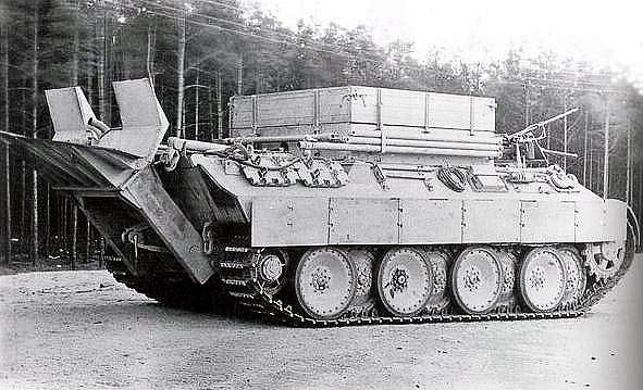 bergepanther4