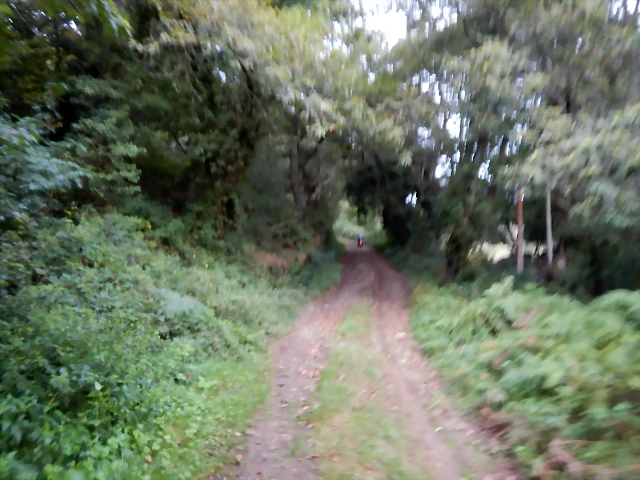 DSCN6833 DSCN6833
