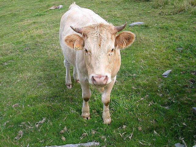 DSCN3278 DSCN3278