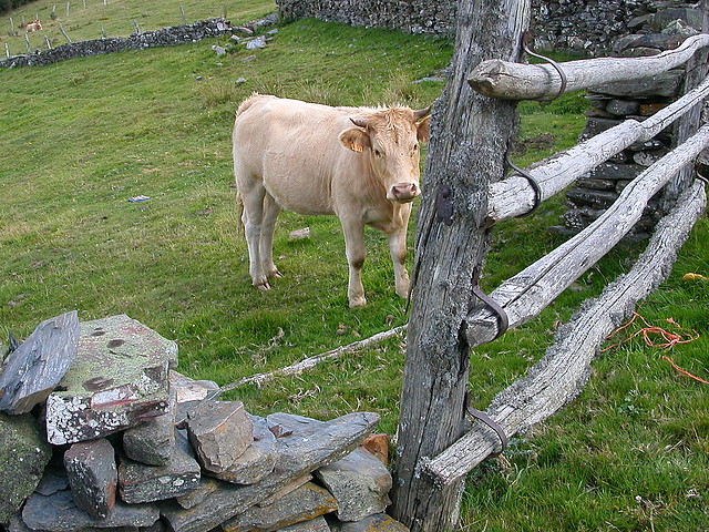 DSCN3280 DSCN3280