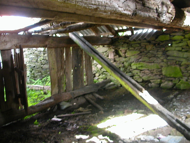 DSCN3270 DSCN3270
