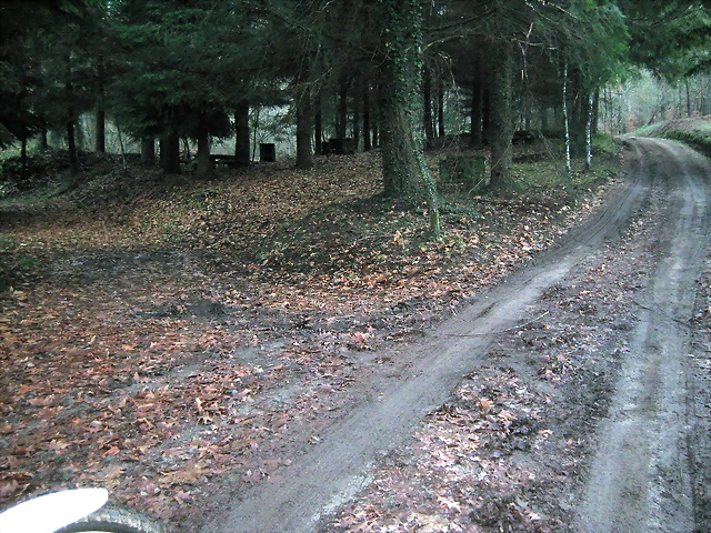 IMG_0553 IMG_0553
