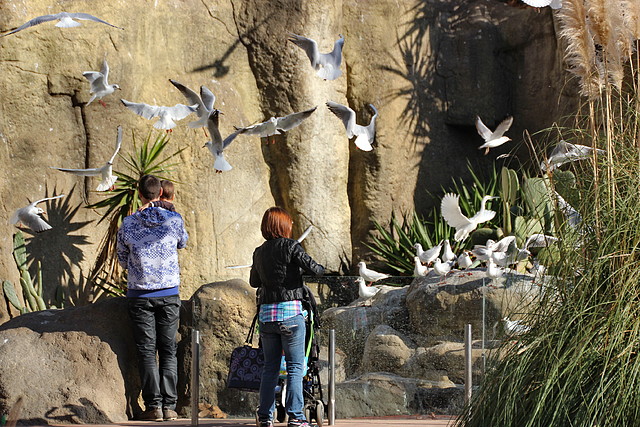 Zoo Barcelona 21-01-12 235
