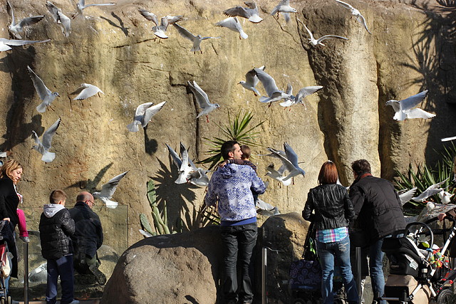 Zoo Barcelona 21-01-12 246