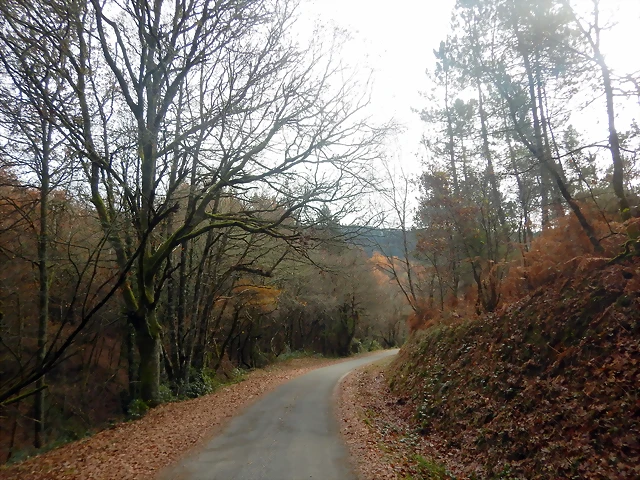 DSCN3138 DSCN3138