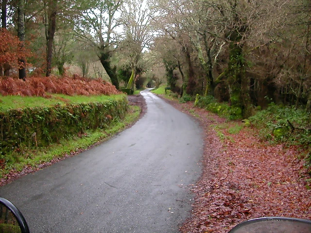 DSCN1163 DSCN1163