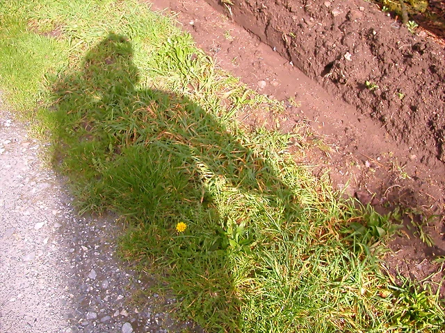 DSCN1150 DSCN1150