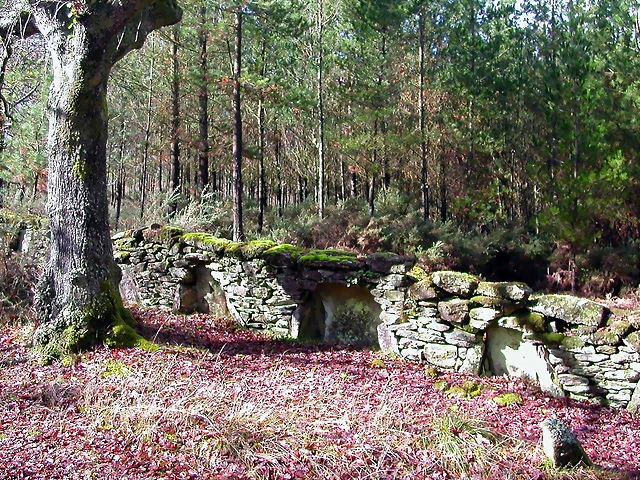 DSCN1140 DSCN1140