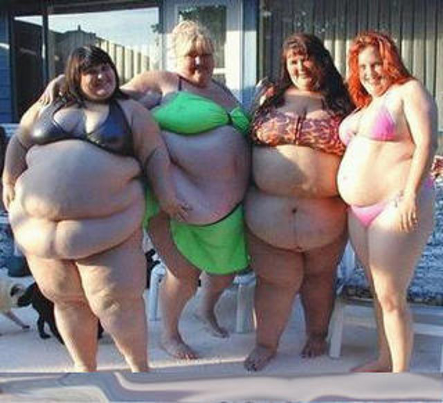 gordas gordas
