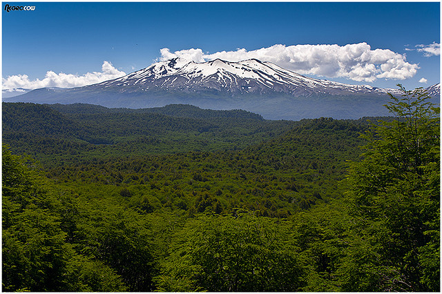 volcan pehueye enero del 2011